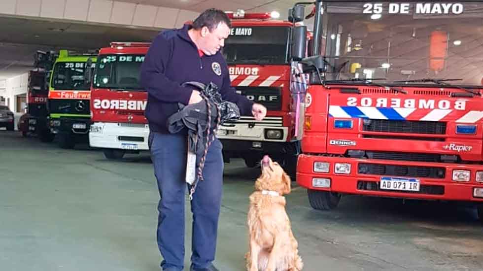 Bomberos presentó a su nuevo integrante del Grupo K9 de búsqueda y rescate