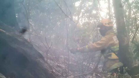 Bomberos Voluntarios trabajaron más de 8 horas en incendio