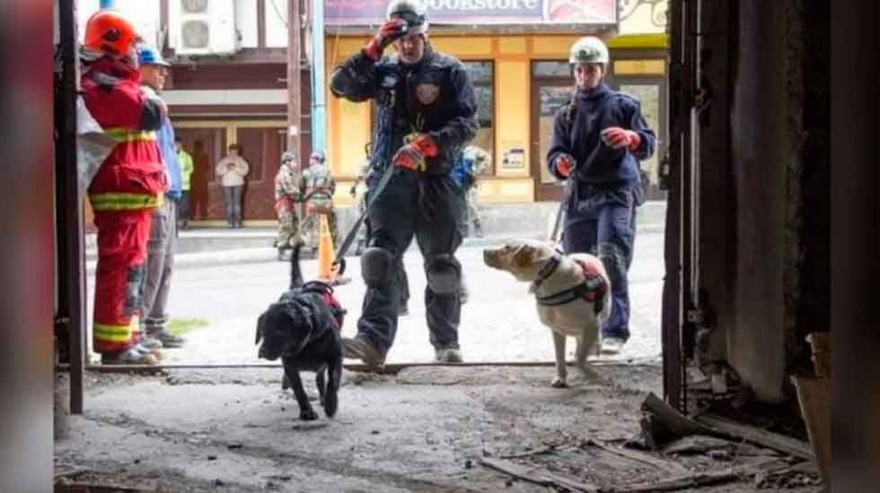 Tristeza en Ushuaia: murió Uma, la perra rescatista de Bomberos 2 abril