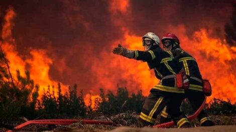 Brigadistas podrían jubilarse con un importante beneficio