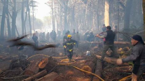 Bombero se fracturó cuatro vértebras durante un incendio