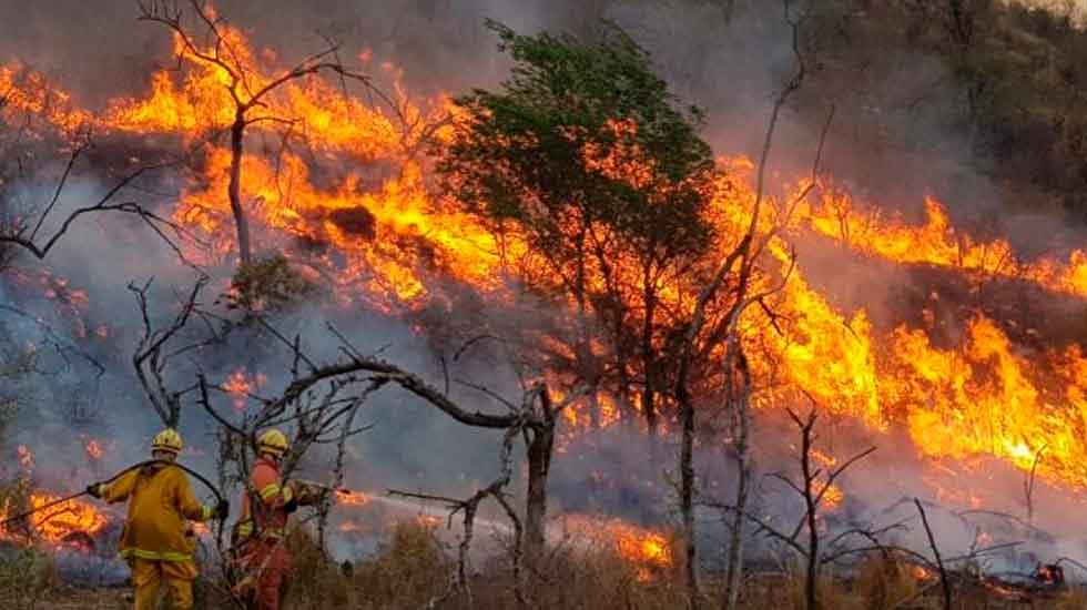 Bomberos combaten importante incendio en el Valle de Punilla