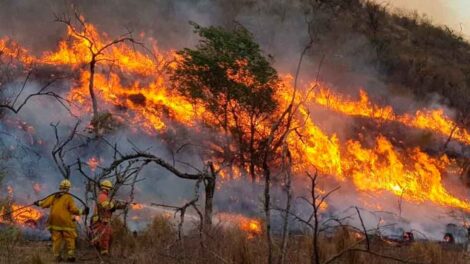 Bomberos voluntarios de todo el país en "alerta amarilla"