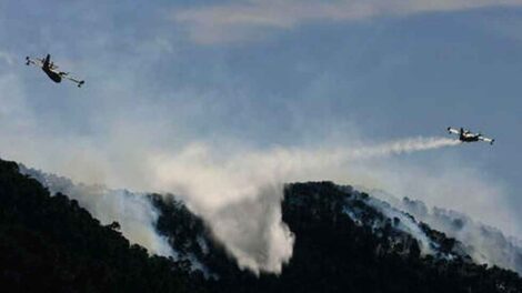 Condenan a seis meses de prisión a seis bomberos forestales