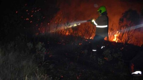 Un bombero fue mordido por una víbora cuando combatía un incendio