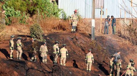 Bomberos y Conaf controlan rápidamente incendio forestal