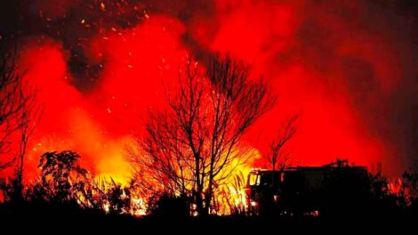 Bomberos lograron controlar el fuego en la Reserva Ecológica