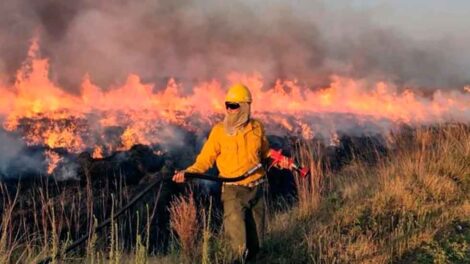 Bomberos de distintas localidades se suman a la lucha contra un incendio de campo