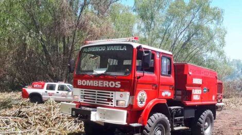 Un bombero salvó del fuego a un grupo de perros mientras apagaba un incendio