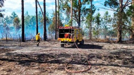 Dos bomberos requirieron de asistencia médica