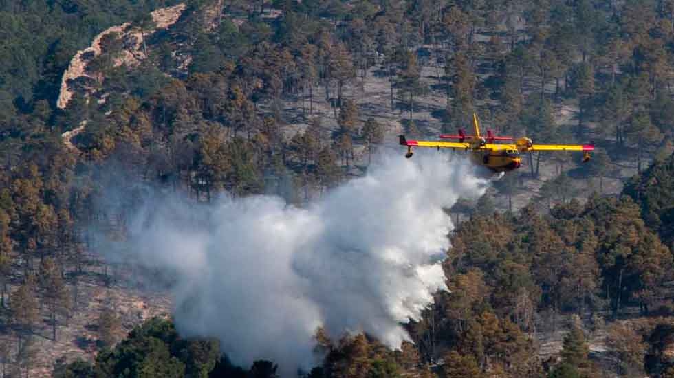 Bomberos forestales viajan a Chile para ayudar en incendios