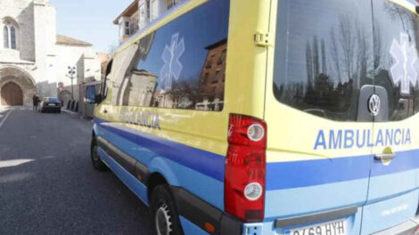 Un bombero herido al caerle encima un árbol