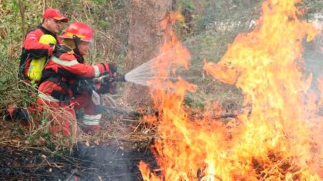 Celebran inversión en mangueras y equipos de protección para bomberos