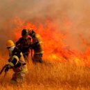 Costa Rica envía bomberos para apoyar extinción de incendios forestales en Canadá