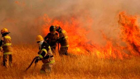 Costa Rica envía bomberos para apoyar extinción de incendios forestales en Canadá