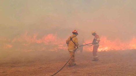 Le dieron el alta a dos bomberos afectados en el incendio de La Mezquita