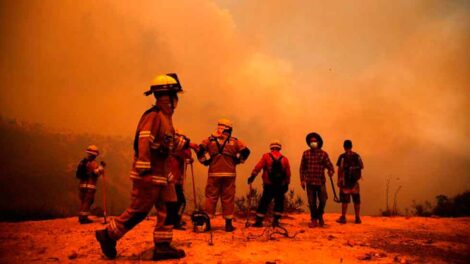 Tres brigadistas mueren combatiendo incendios forestales en La Araucanía