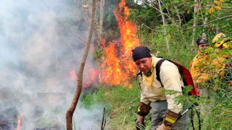 Bomberos enfrentan incendios sin descanso