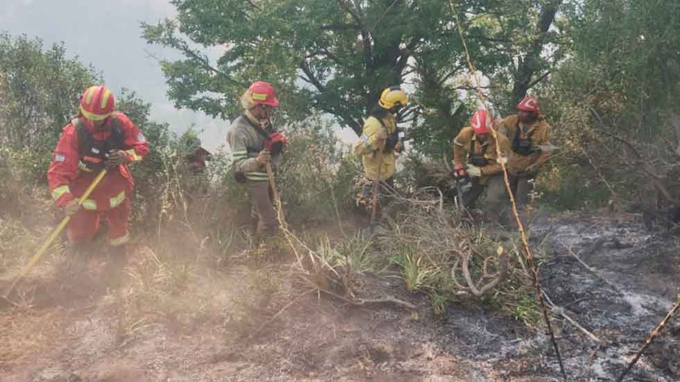 Informe del SNBV sobre los incendios forestales en Neuquén