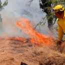 Detienen a sujeto que impidió acceso a Bomberos para apagar incendio