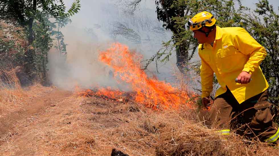 Detienen a sujeto que impidió acceso a Bomberos para apagar incendio