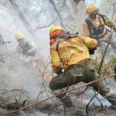 El Bolsón: en medio del incendio le robaron a los bomberos