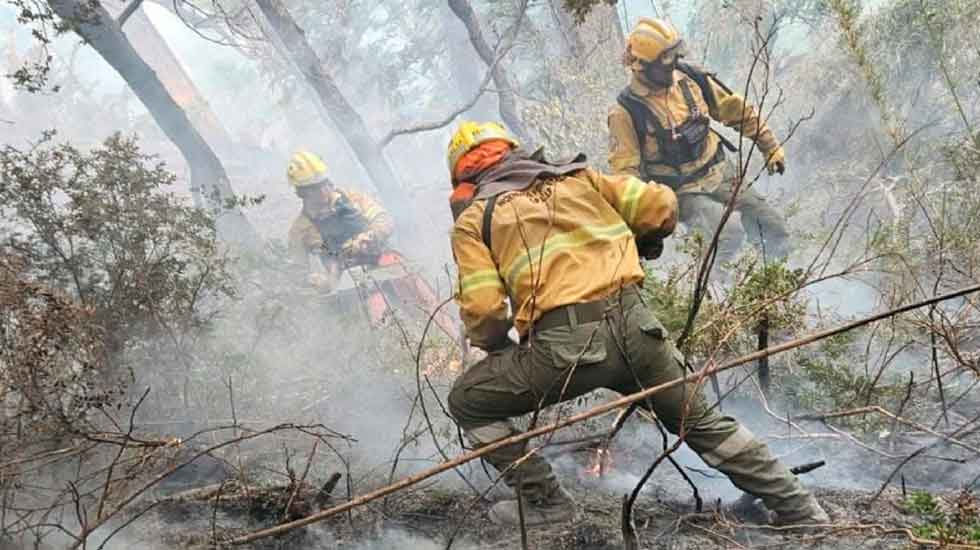 El Bolsón: en medio del incendio le robaron a los bomberos