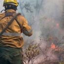 Bomberos de Córdoba cooperan en la lucha contra el fuego en Villa Mascardi