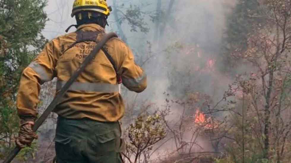 Bomberos de Córdoba cooperan en la lucha contra el fuego en Villa Mascardi