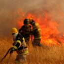 Detienen a dos bomberos por presunta responsabilidad en incendios forestales